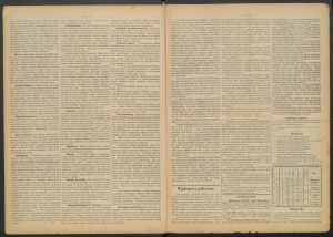 gazeta radomska-1884-23-00002